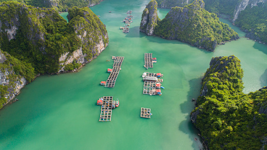 Activities not to be missed in Lan Ha Bay Activities not to be missed in Lan Ha Bay