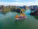 Halong Peony Cruise