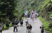 Cat Ba biking trip