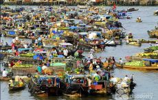 Cai rang floating village