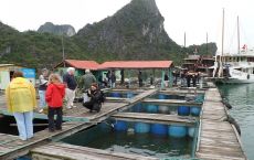 Floating village tour