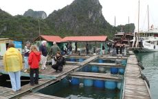 Floating village tour