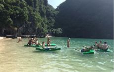 Swimming - Freedom island