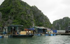 Ba Hang floating village