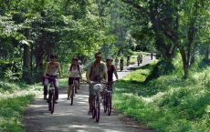 Biking through jungle