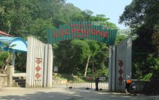 Cuc Phuong national park