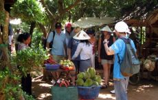Mekong delta tour: Local garden