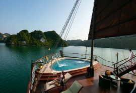 Orchid Trendy Cruise