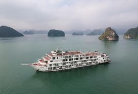  Ambassador Cruise (President Cruise)