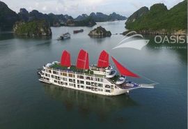 Oasis Bay Party Cruise