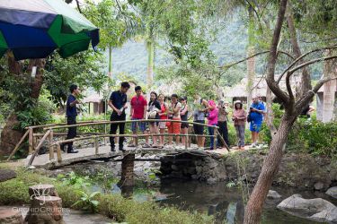 Azalea Cruise Halong Bay