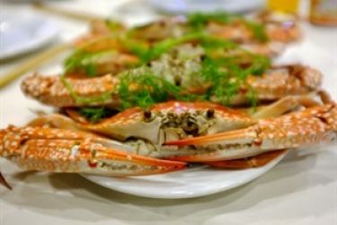 Dragon’s Pearl Cruise