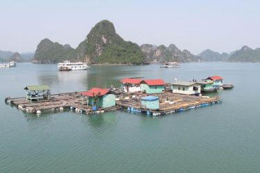 Garden Bay Cruise Classic