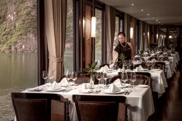  Ambassador Cruise (President Cruise)