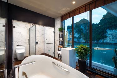 Stellar of the Seas Cruise