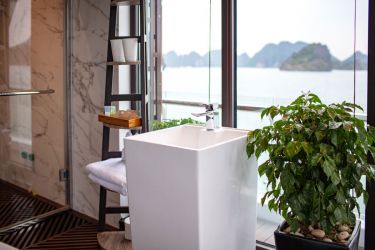 Stellar of the Seas Cruise