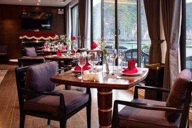 Stellar of the Seas Cruise