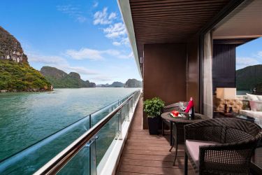 Stellar of the Seas Cruise