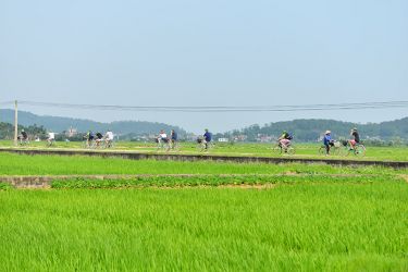 Swan Cruise Bai Tu Long