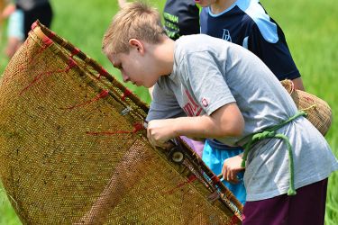 Swan Cruise Bai Tu Long