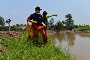 Swan Cruise Bai Tu Long