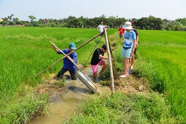Swan Cruise Bai Tu Long