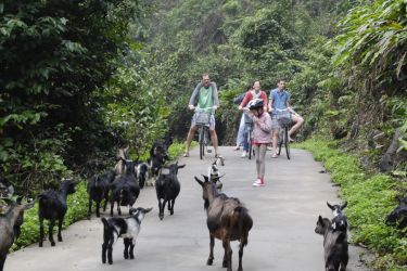 Le Journey Premium Cruise