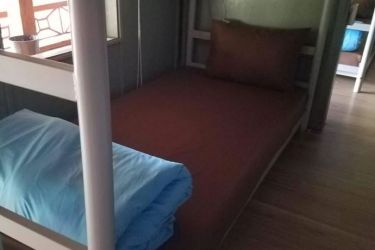 Oasis Bay Party Cruise