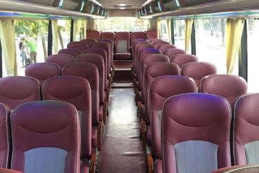 Oasis Bay Party Cruise