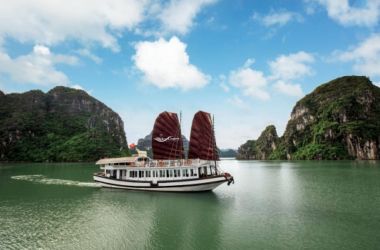Bai Tu Long Bay 1 day tour