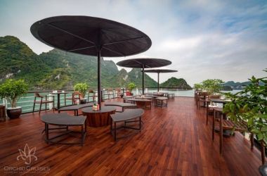 Halong bay one day tour  by Orchid Cruise High-end Luxury