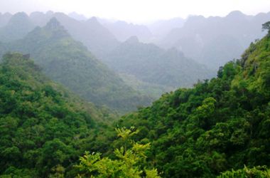Cat ba National Park