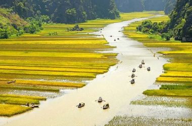 Hoa Lu - Tam Coc one day tour