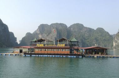 Pearl Farm Halong Bay