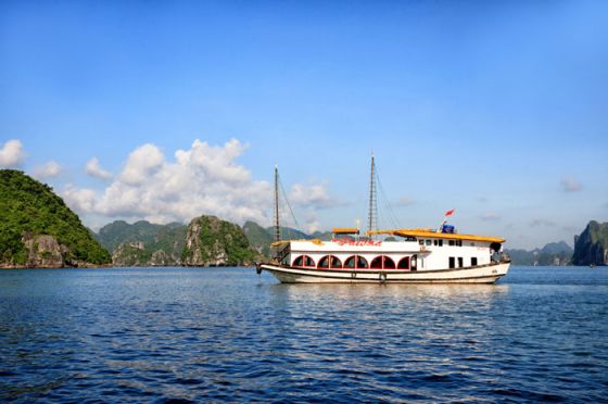 Paloma Private charter